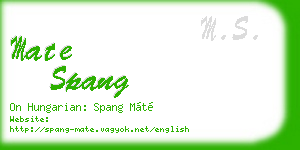 mate spang business card